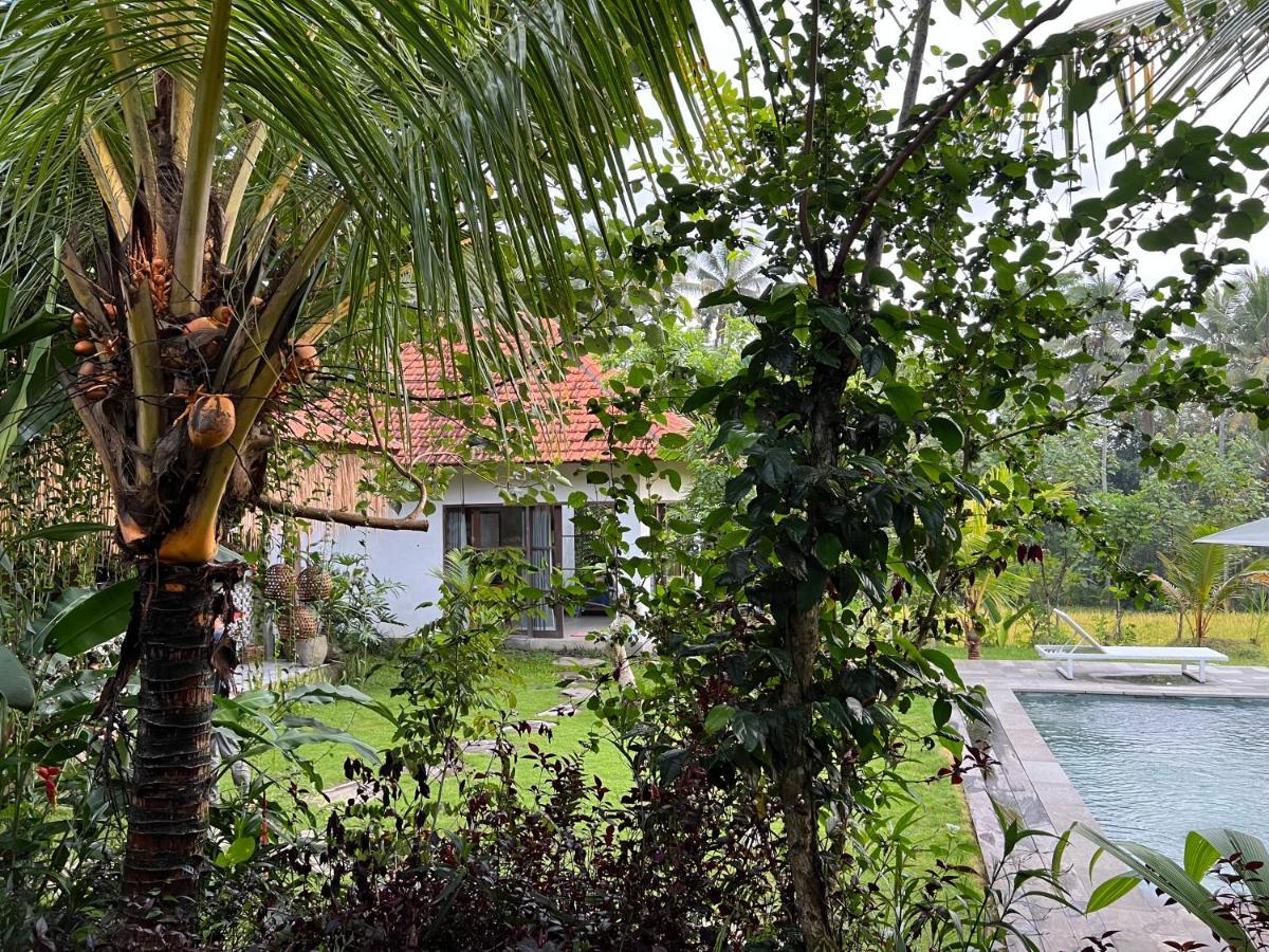 Uma Mupu Retreat Vila Payangan Exterior foto