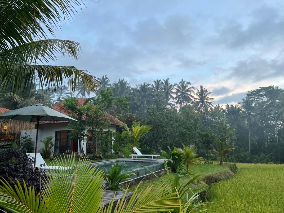 Uma Mupu Retreat Vila Payangan Exterior foto